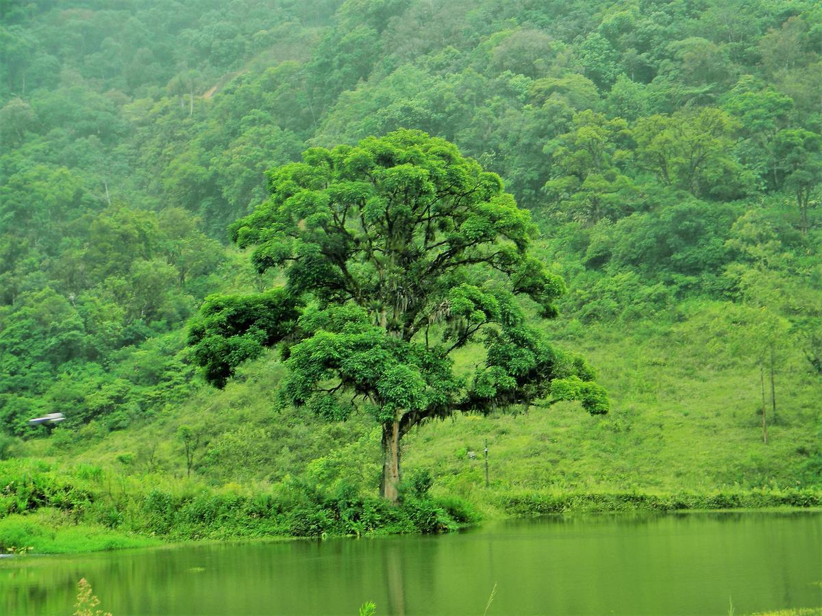 Pousada Signora Del Lago Sao Joao  Esterno foto
