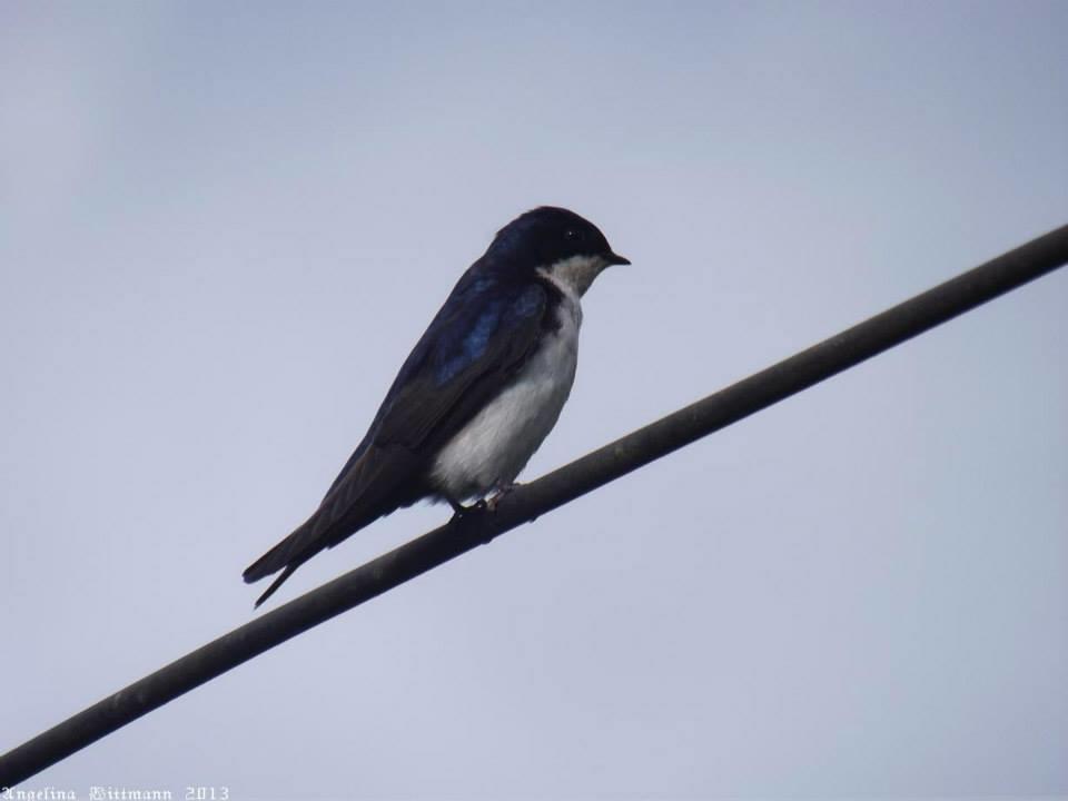 Pousada Signora Del Lago Sao Joao  Esterno foto