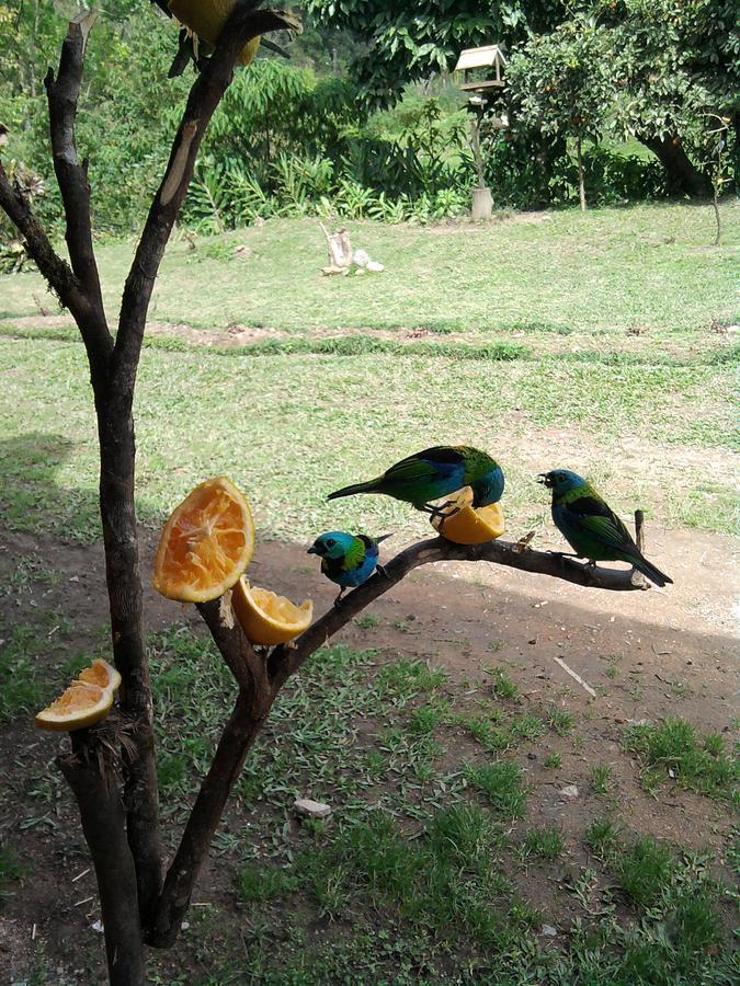 Pousada Signora Del Lago Sao Joao  Esterno foto