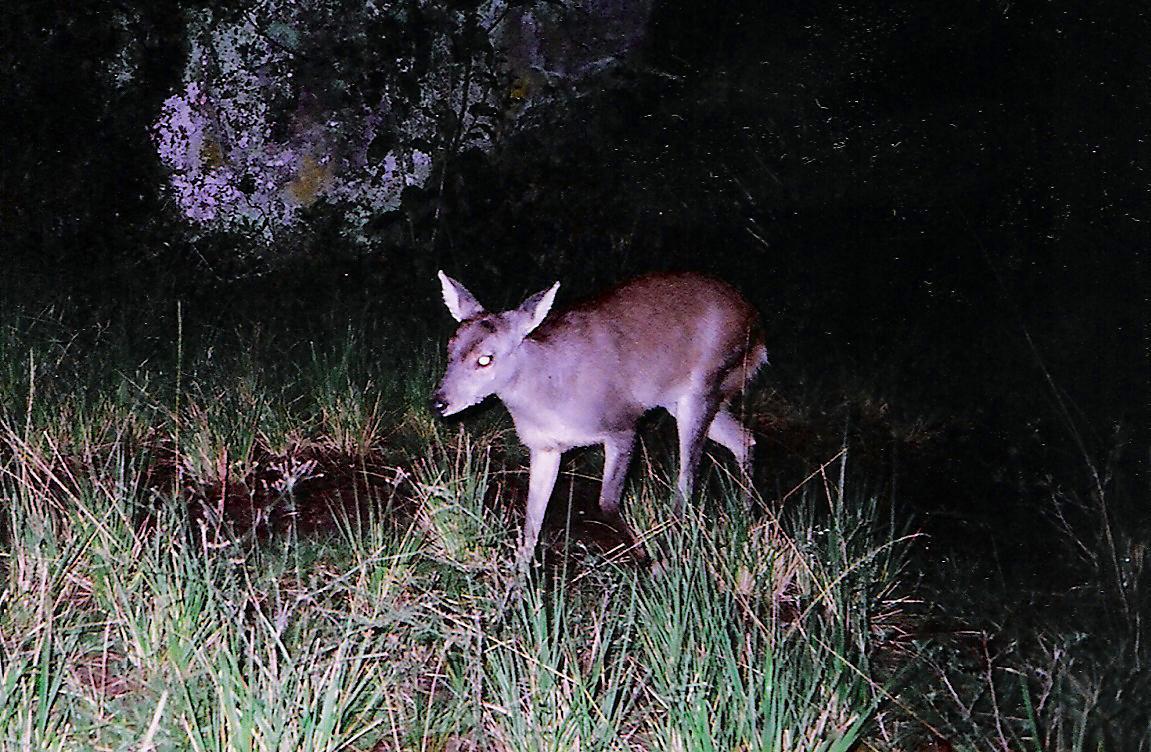 Pousada Signora Del Lago Sao Joao  Esterno foto